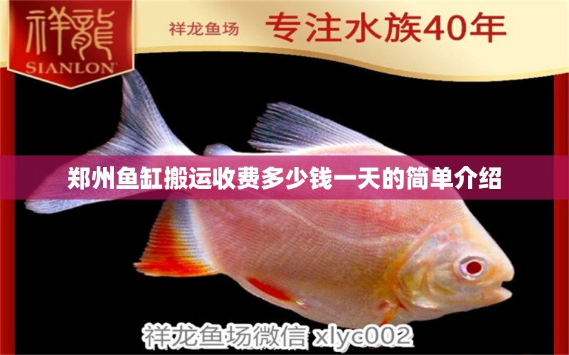 郑州鱼缸搬运收费多少钱一天的简单介绍