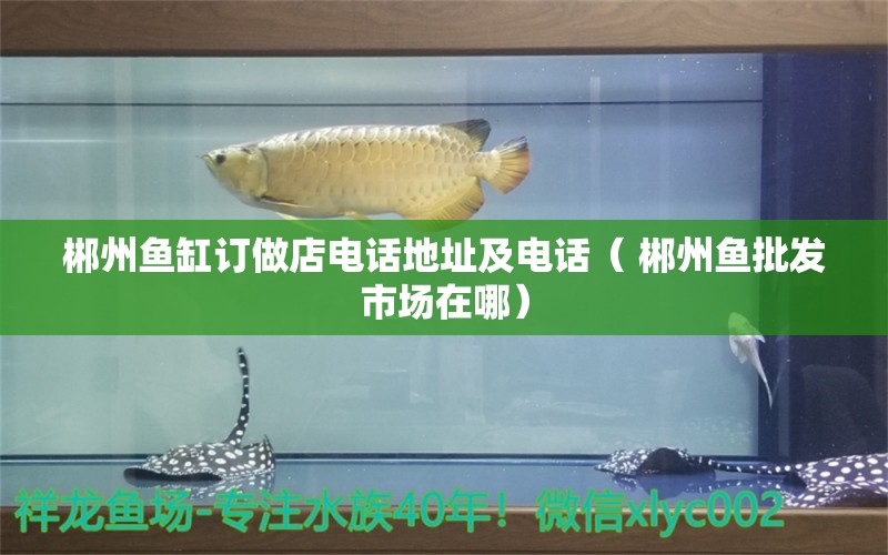 郴州鱼缸订做店电话地址及电话（ 郴州鱼批发市场在哪）