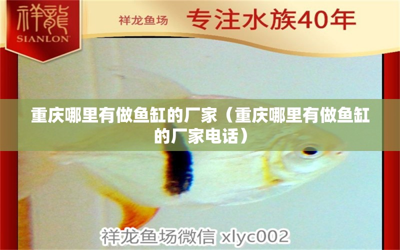 重庆哪里有做鱼缸的厂家（重庆哪里有做鱼缸的厂家电话） 其他品牌鱼缸