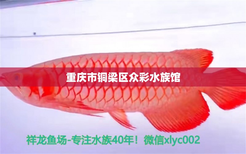 重庆市铜梁区众彩水族馆