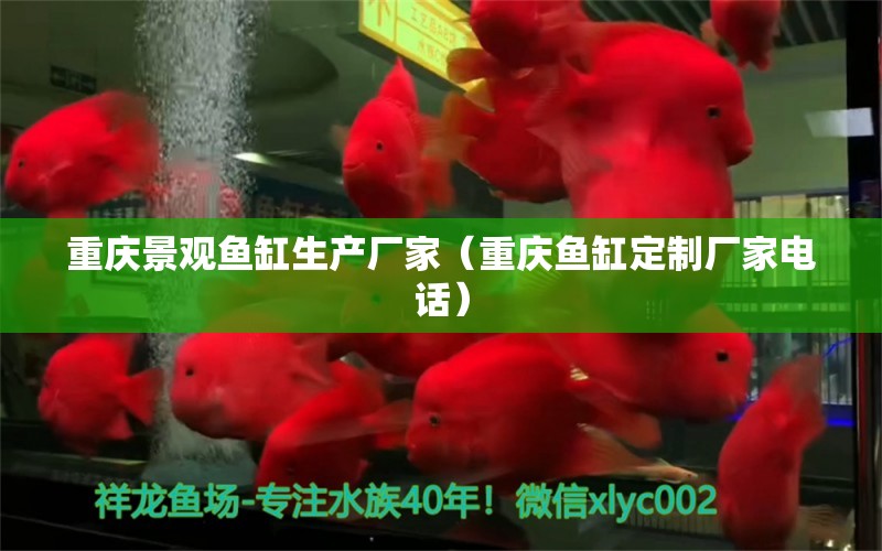 重庆景观鱼缸生产厂家（重庆鱼缸定制厂家电话）