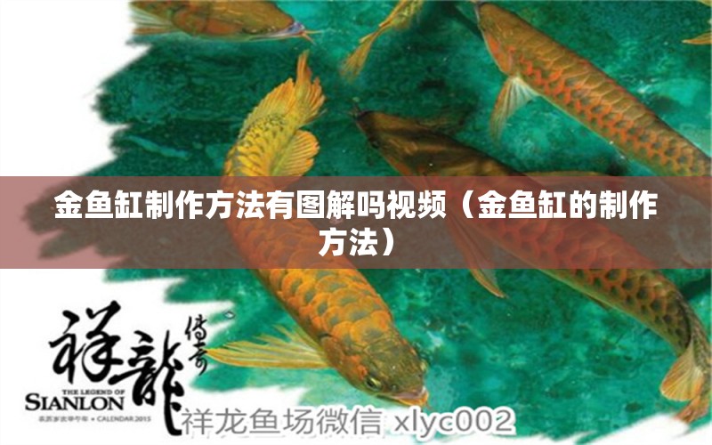 金鱼缸制作方法有图解吗视频（金鱼缸的制作方法） 广州观赏鱼批发市场