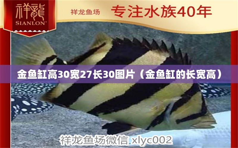 金鱼缸高30宽27长30图片（金鱼缸的长宽高） 观赏鱼市场（混养鱼）