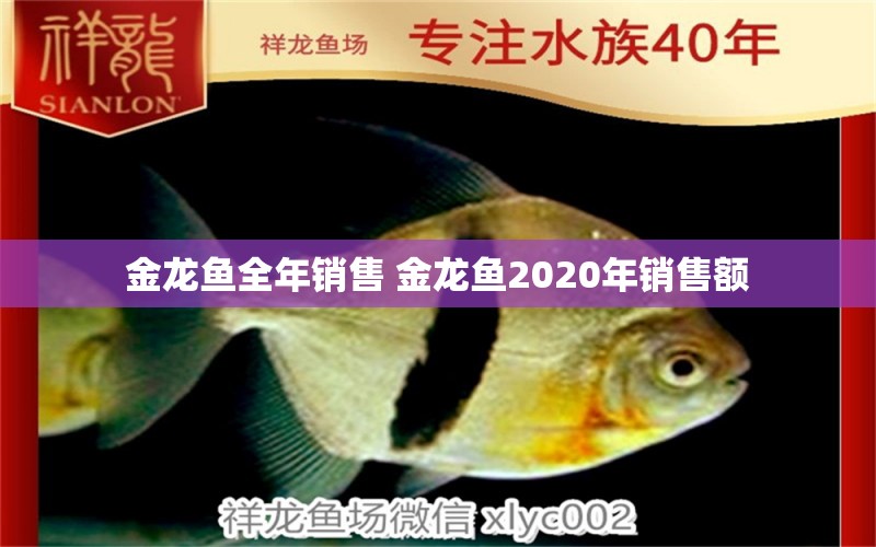 金龙鱼全年销售 金龙鱼2020年销售额