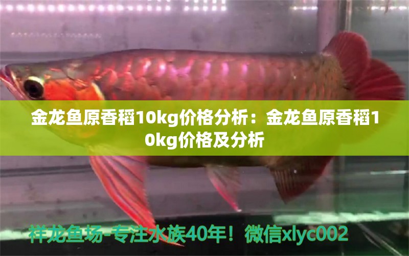 金龙鱼原香稻10kg价格分析：金龙鱼原香稻10kg价格及分析