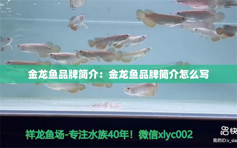 金龙鱼品牌简介：金龙鱼品牌简介怎么写 广州龙鱼批发市场