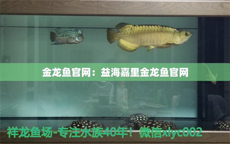金龙鱼官网：益海嘉里金龙鱼官网 喷点菠萝鱼
