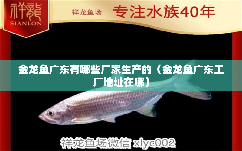金龙鱼广东有哪些厂家生产的（金龙鱼广东工厂地址在哪） 鱼缸清洁用具