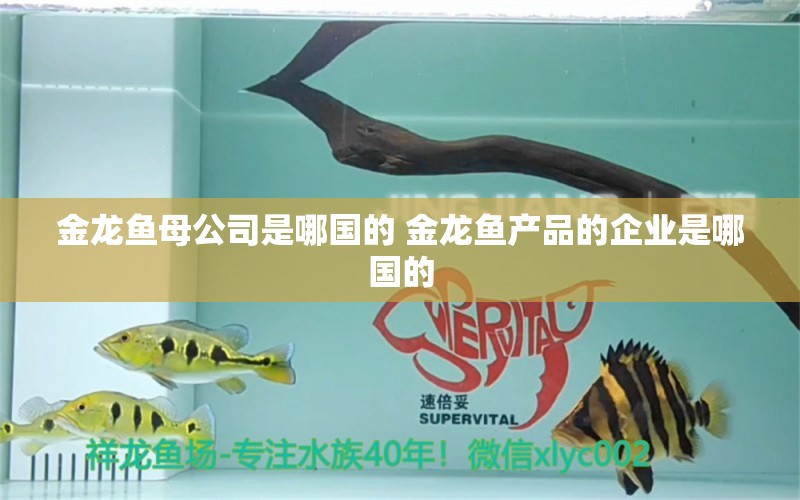 金龙鱼母公司是哪国的 金龙鱼产品的企业是哪国的