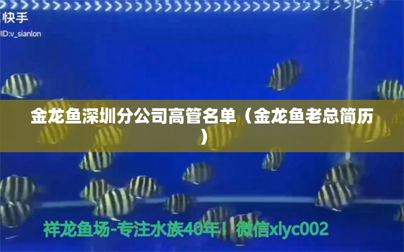 金龙鱼深圳分公司高管名单（金龙鱼老总简历） 广州水族批发市场