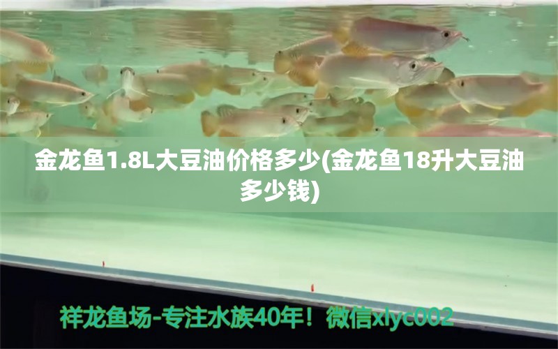 金龙鱼1.8L大豆油价格多少(金龙鱼18升大豆油多少钱)