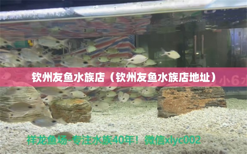 钦州友鱼水族店（钦州友鱼水族店地址） 全国水族馆企业名录