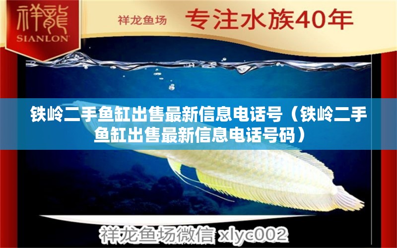 铁岭二手鱼缸出售最新信息电话号（铁岭二手鱼缸出售最新信息电话号码） 黄金斑马鱼