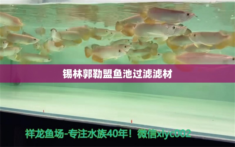 锡林郭勒盟鱼池过滤滤材 广州水族器材滤材批发市场