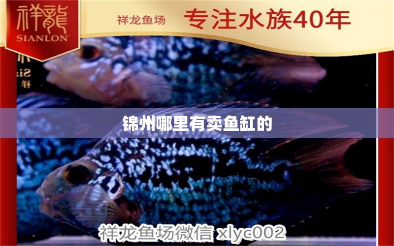 锦州哪里有卖鱼缸的 其他品牌鱼缸