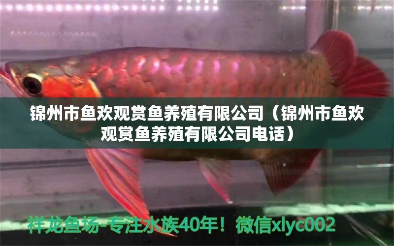 锦州市鱼欢观赏鱼养殖有限公司（锦州市鱼欢观赏鱼养殖有限公司电话）