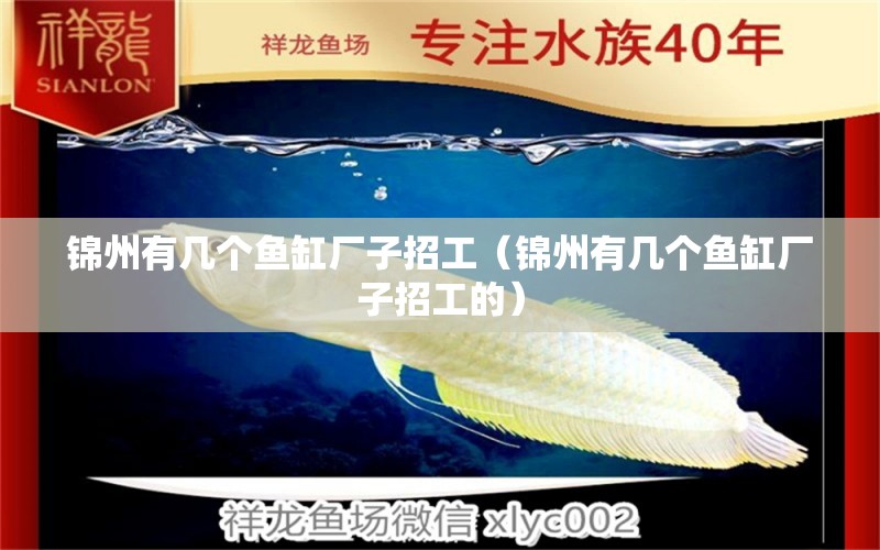 锦州有几个鱼缸厂子招工（锦州有几个鱼缸厂子招工的） 观赏鱼市场（混养鱼）