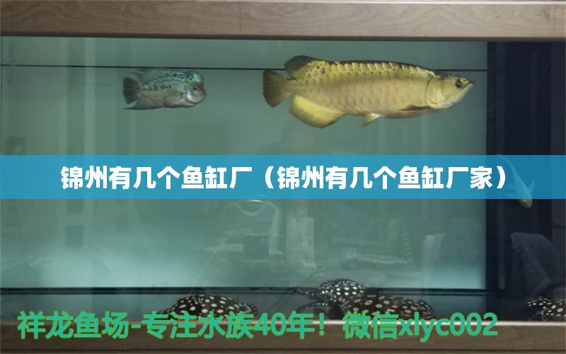 锦州有几个鱼缸厂（锦州有几个鱼缸厂家）