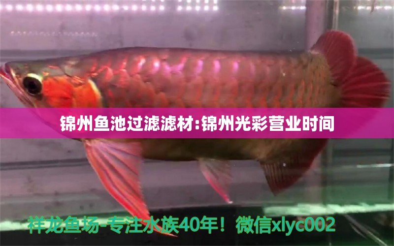 锦州鱼池过滤滤材:锦州光彩营业时间