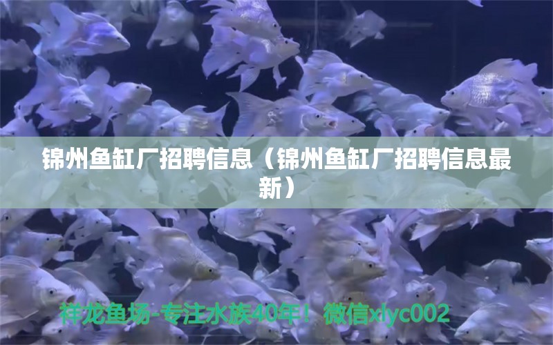 锦州鱼缸厂招聘信息（锦州鱼缸厂招聘信息最新） 观赏鱼市场（混养鱼）