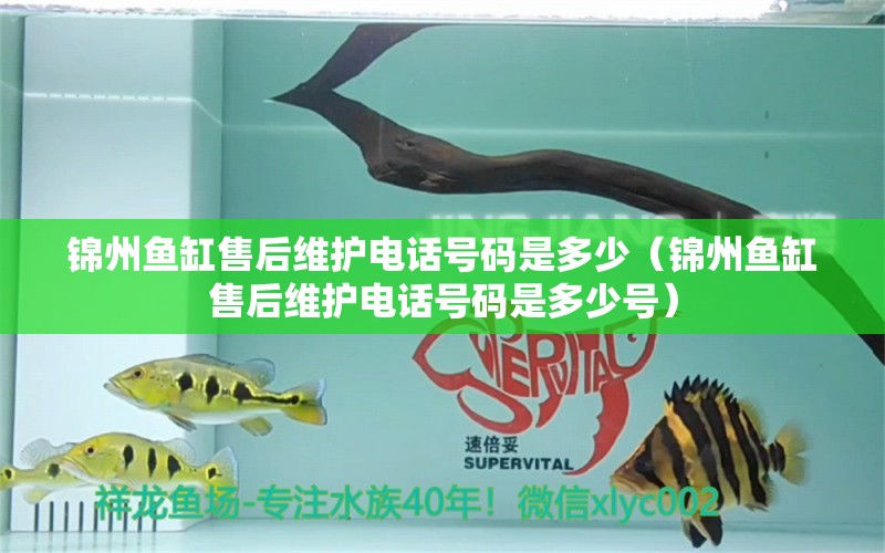 锦州鱼缸售后维护电话号码是多少（锦州鱼缸售后维护电话号码是多少号）