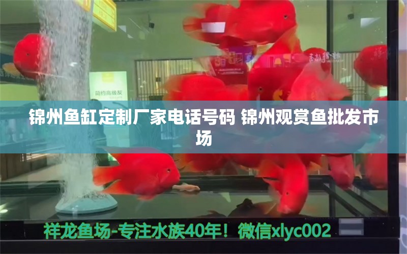 锦州鱼缸定制厂家电话号码 锦州观赏鱼批发市场
