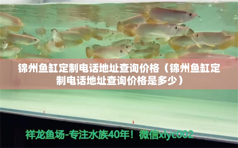 锦州鱼缸定制电话地址查询价格（锦州鱼缸定制电话地址查询价格是多少） 粗线银版鱼