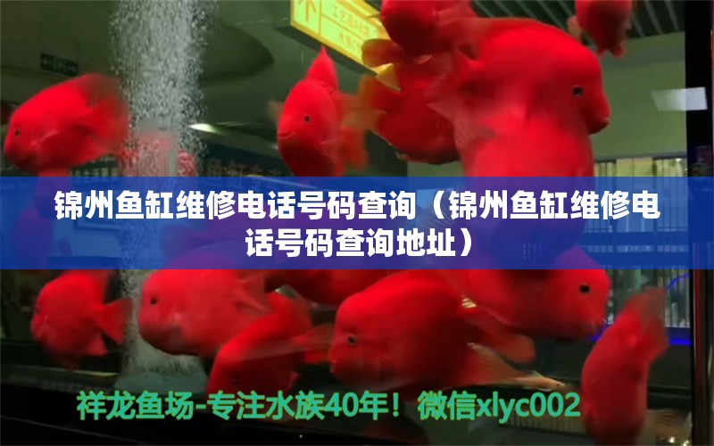 锦州鱼缸维修电话号码查询（锦州鱼缸维修电话号码查询地址） 其他品牌鱼缸