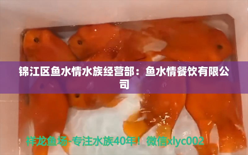 锦江区鱼水情水族经营部：鱼水情餐饮有限公司