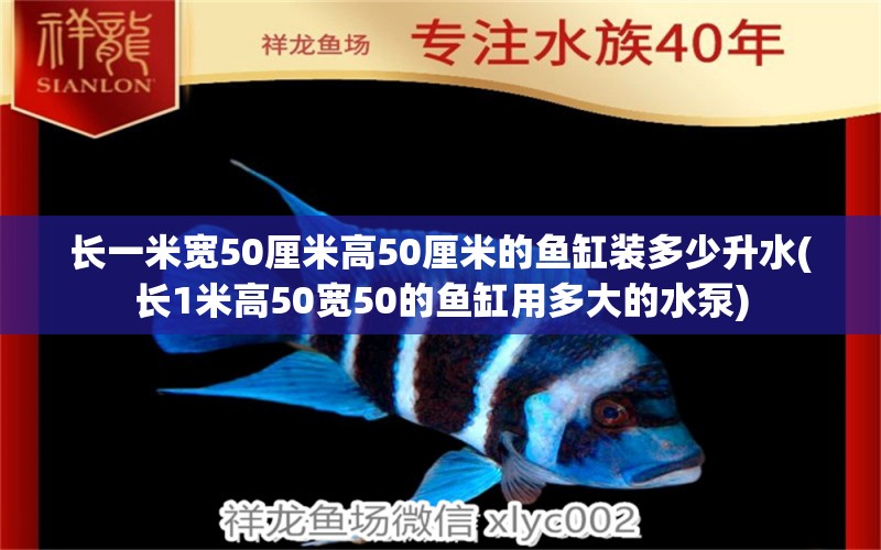 长一米宽50厘米高50厘米的鱼缸装多少升水(长1米高50宽50的鱼缸用多大的水泵) 斑马鸭嘴鱼