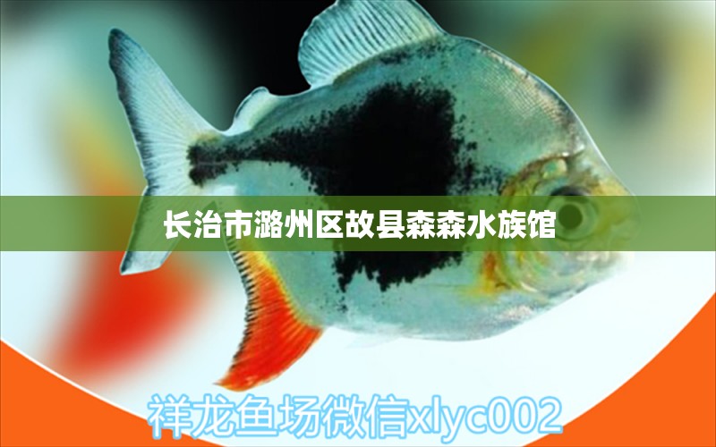 长治市潞州区故县森森水族馆 全国水族馆企业名录