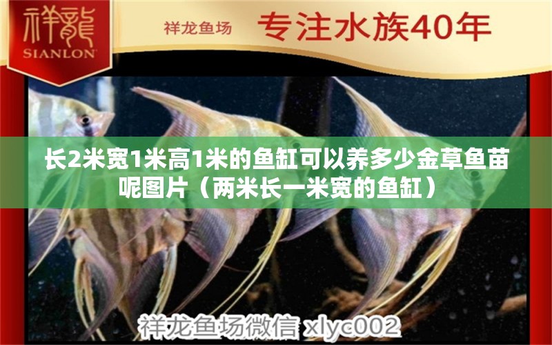 长2米宽1米高1米的鱼缸可以养多少金草鱼苗呢图片（两米长一米宽的鱼缸）