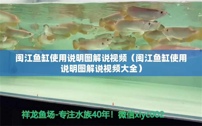 闽江鱼缸使用说明图解说视频（闽江鱼缸使用说明图解说视频大全） 观赏鱼市场（混养鱼）
