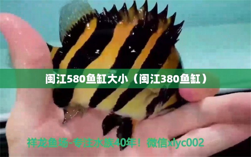 闽江580鱼缸大小（闽江380鱼缸）
