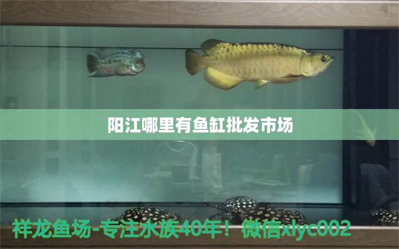 阳江哪里有鱼缸批发市场 其他品牌鱼缸