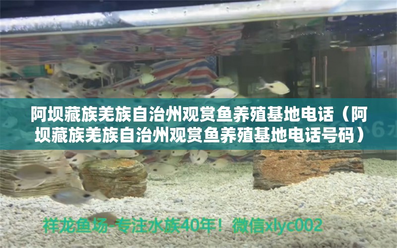 阿坝藏族羌族自治州观赏鱼养殖基地电话（阿坝藏族羌族自治州观赏鱼养殖基地电话号码）
