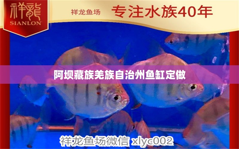 阿坝藏族羌族自治州鱼缸定做 鱼缸