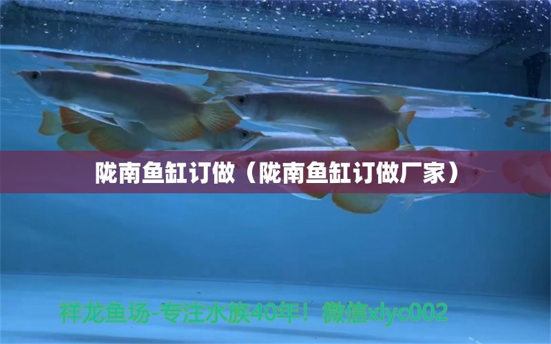 陇南鱼缸订做（陇南鱼缸订做厂家） 广州龙鱼批发市场