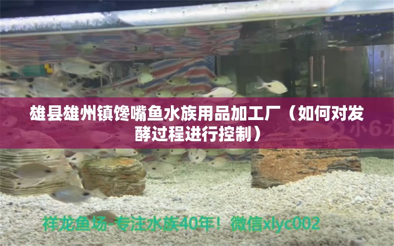 雄县雄州镇馋嘴鱼水族用品加工厂（如何对发酵过程进行控制）