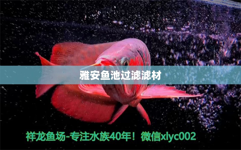 雅安鱼池过滤滤材 广州水族器材滤材批发市场