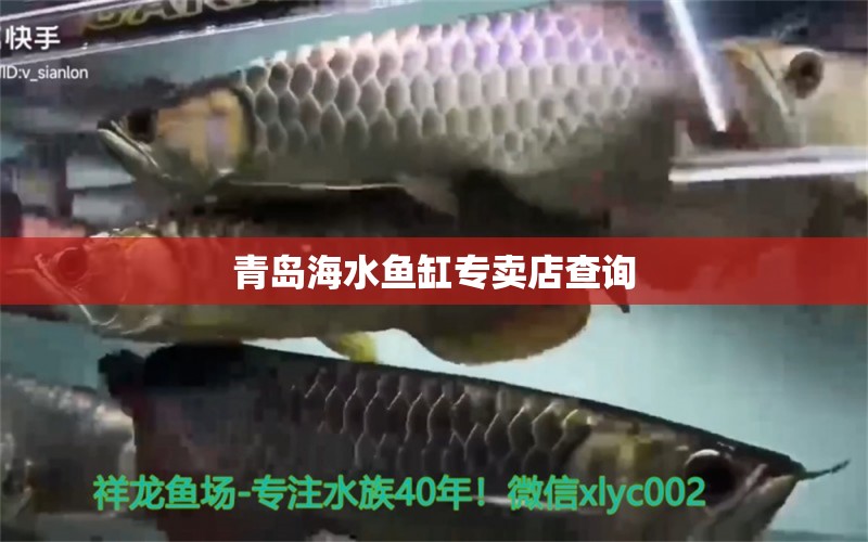 青岛海水鱼缸专卖店查询 海水鱼