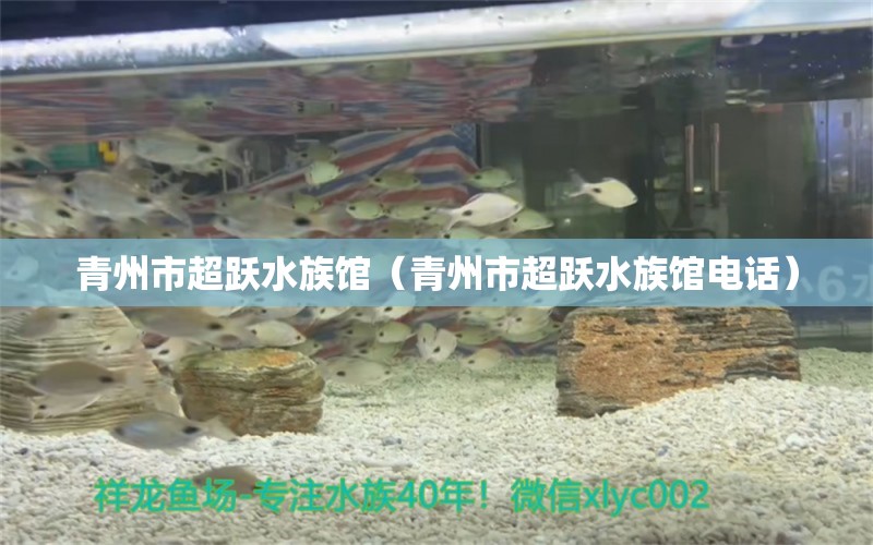 青州市超跃水族馆（青州市超跃水族馆电话） 全国水族馆企业名录