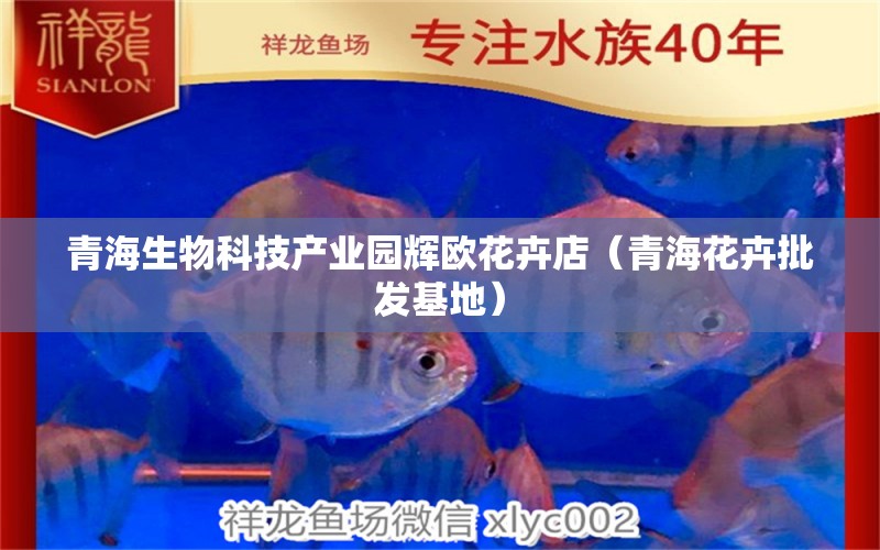 青海生物科技产业园辉欧花卉店（青海花卉批发基地） 全国水族馆企业名录