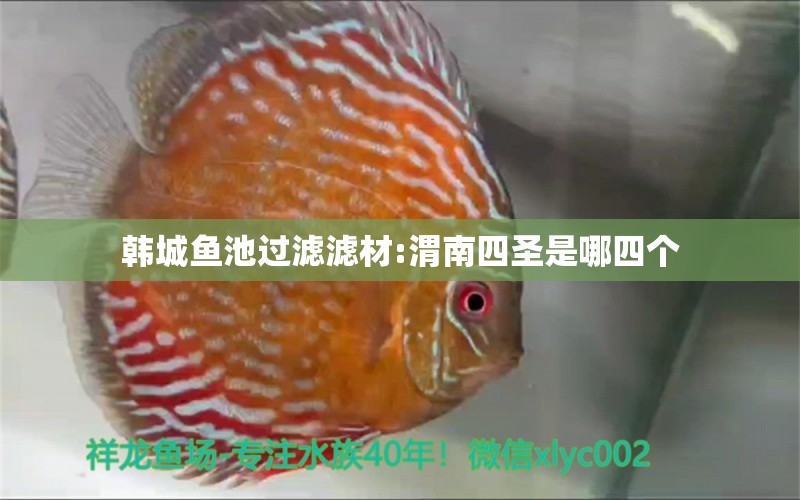 韩城鱼池过滤滤材:渭南四圣是哪四个 广州水族器材滤材批发市场