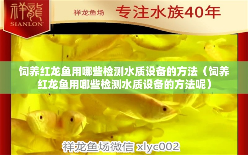 饲养红龙鱼用哪些检测水质设备的方法（饲养红龙鱼用哪些检测水质设备的方法呢） 广州龙鱼批发市场