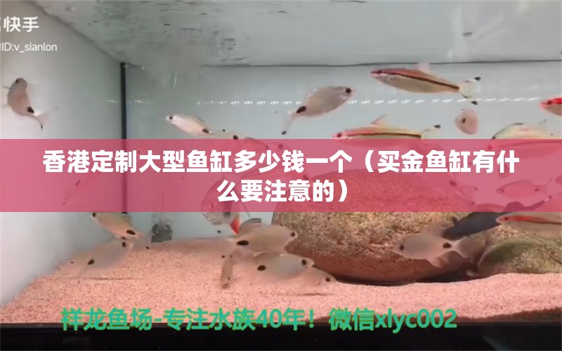 香港定制大型鱼缸多少钱一个（买金鱼缸有什么要注意的）