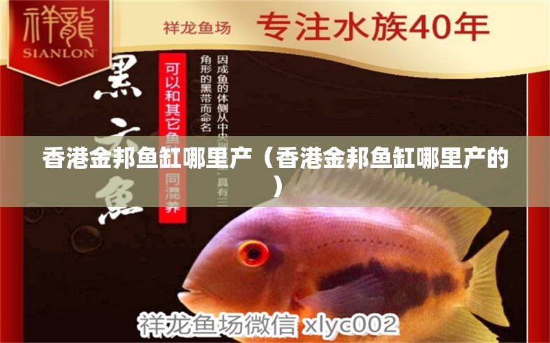 香港金邦鱼缸哪里产（香港金邦鱼缸哪里产的） 非洲金鼓鱼