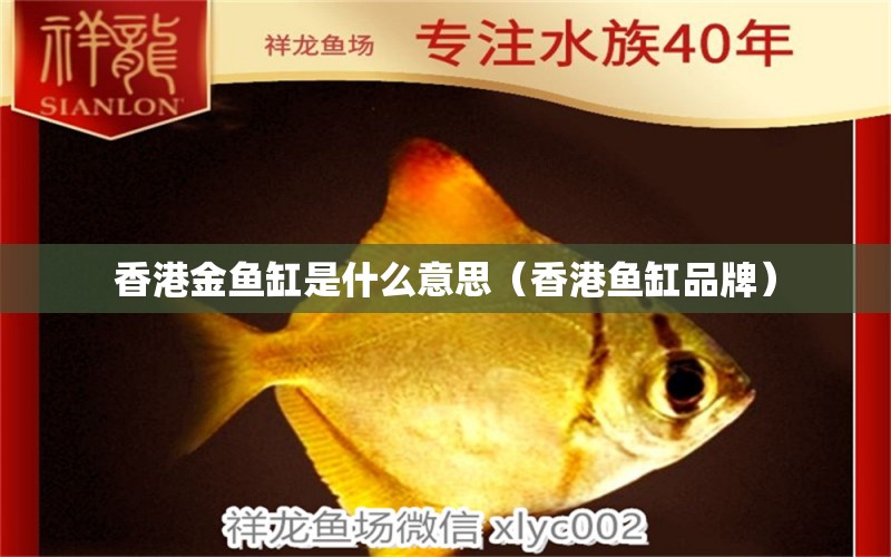 香港金鱼缸是什么意思（香港鱼缸品牌） 其他品牌鱼缸