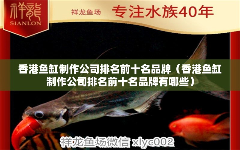 香港鱼缸制作公司排名前十名品牌（香港鱼缸制作公司排名前十名品牌有哪些） 祥龙水族医院