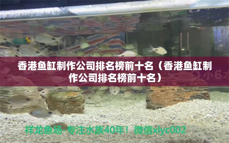 香港鱼缸制作公司排名榜前十名（香港鱼缸制作公司排名榜前十名）